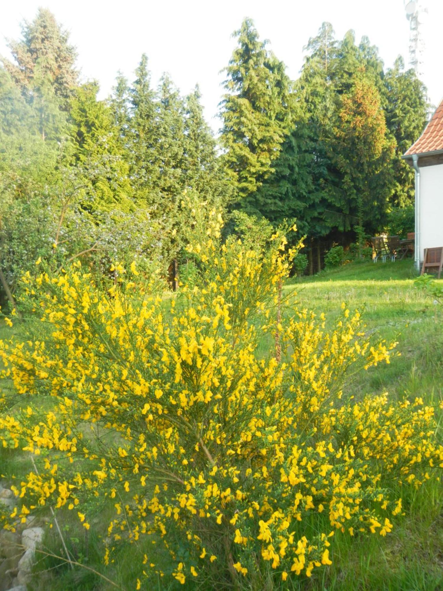 Ferienlandhaus Zempow 外观 照片