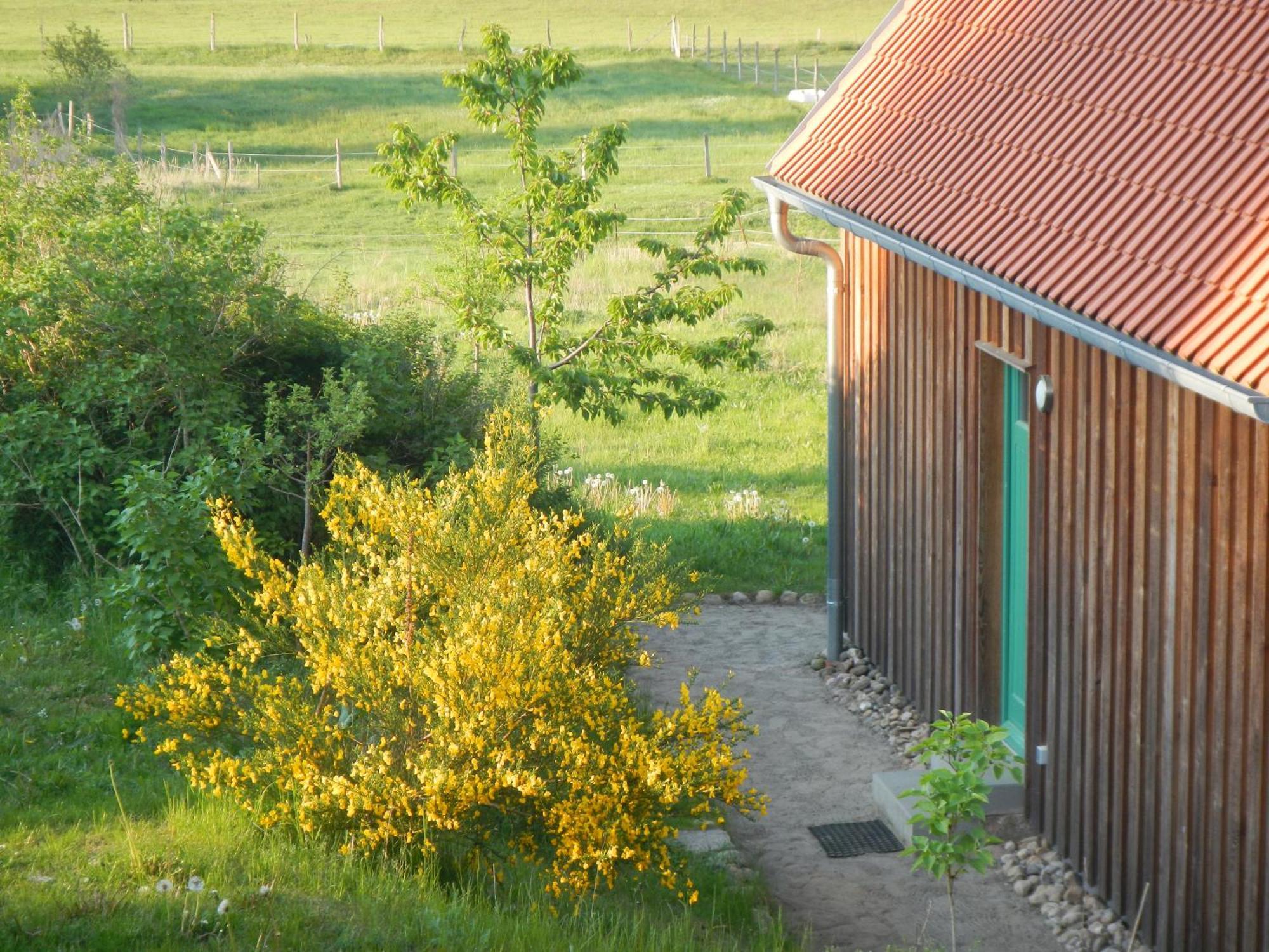 Ferienlandhaus Zempow 外观 照片