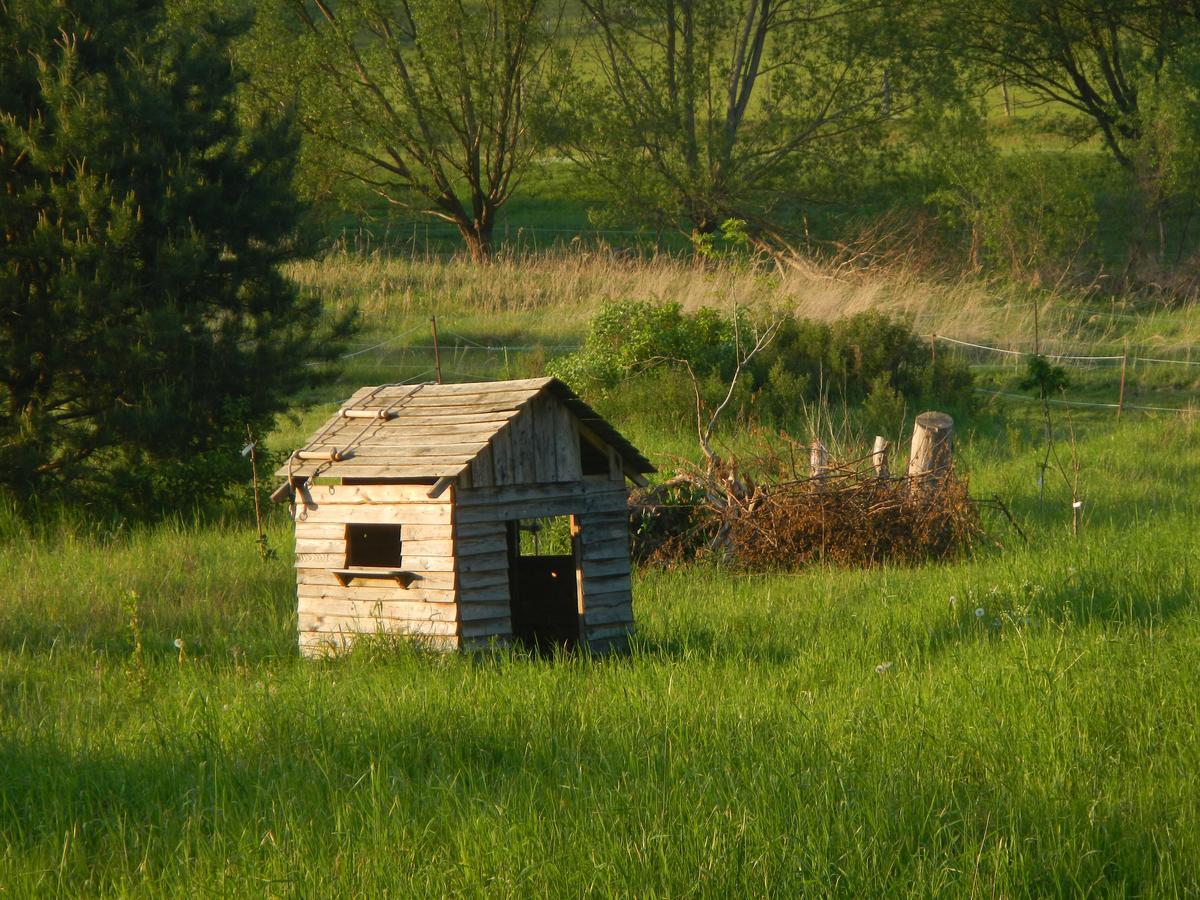 Ferienlandhaus Zempow 外观 照片